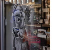 Squirrel with a camera snow window