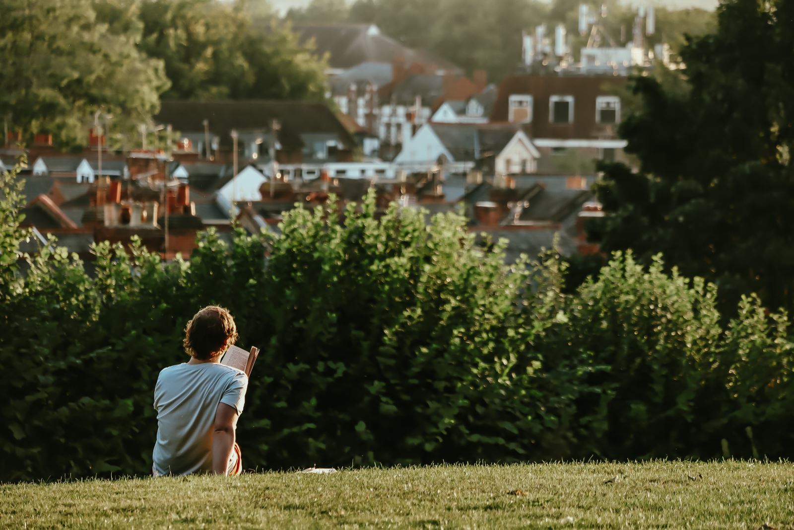Man reading on the grass