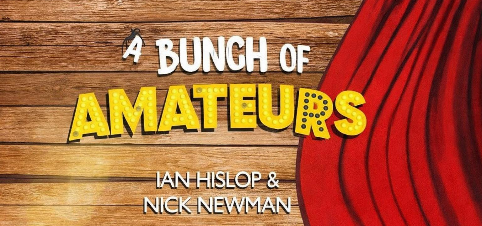 bunch of amateurs promo poster