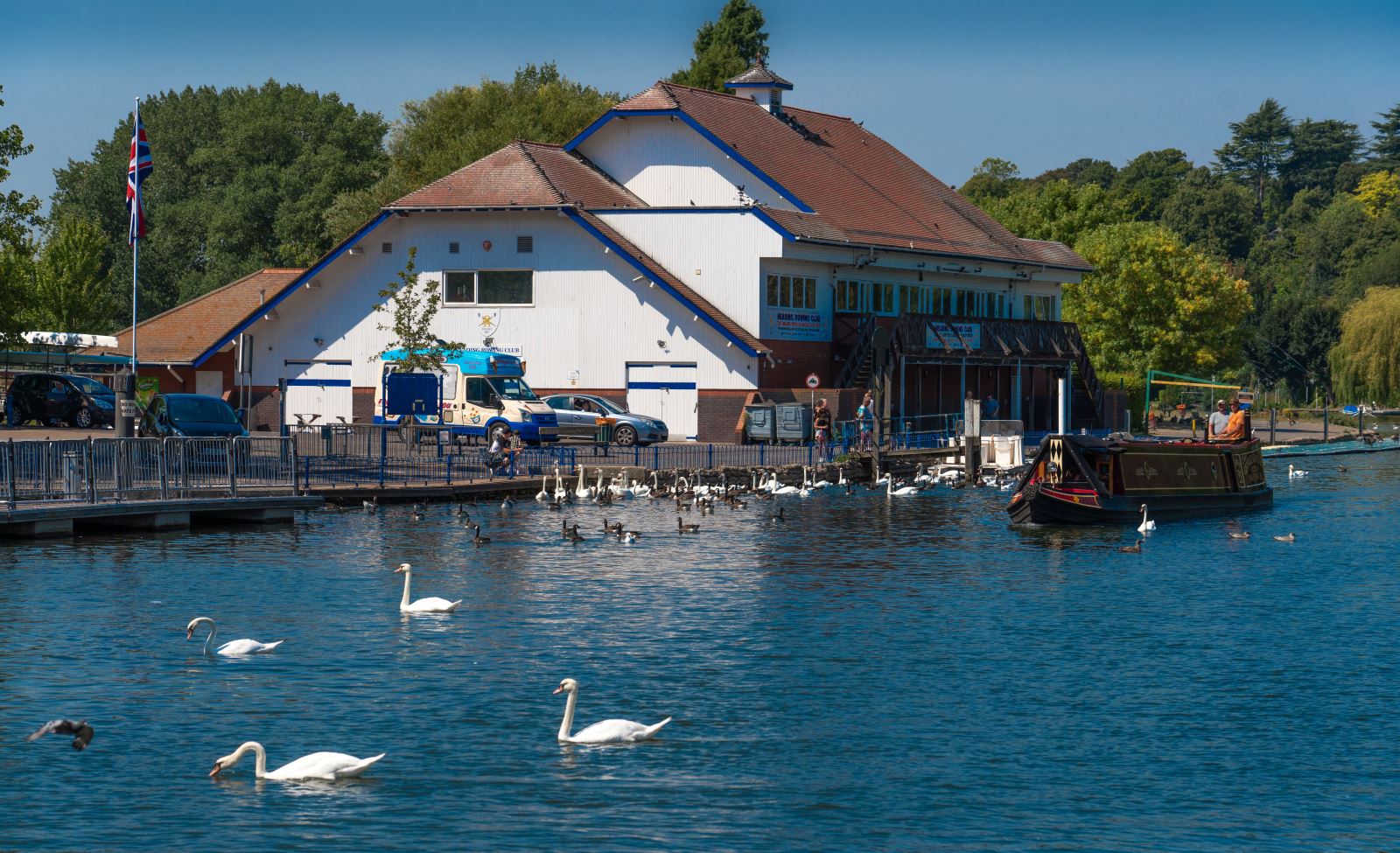 River with swans